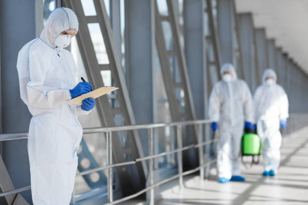 Dehumidification Services in New Llano, LA