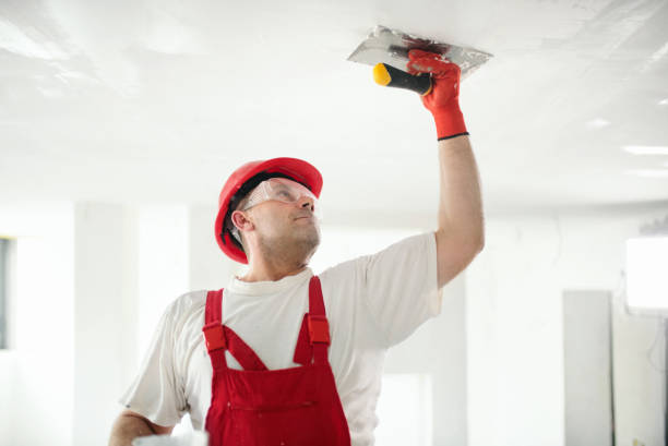 Best Basement Mold Removal  in New Lno, LA