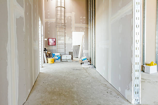 Best Comprehensive Air Testing for Mold Contaminants  in New Lno, LA