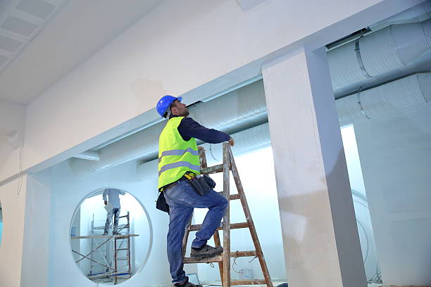 Best Mold Damage Restoration  in New Lno, LA