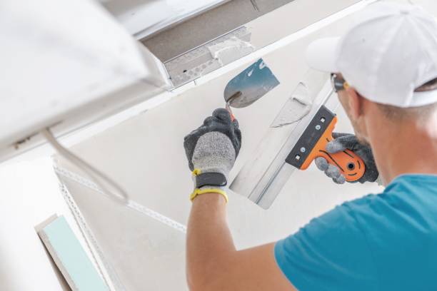 Environmental Consulting for Mold Prevention in New Llano, LA